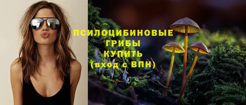 Псилоцибиновые грибы Psilocybine cubensis  магазин  наркотиков  Красавино 